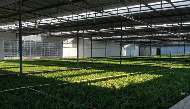 医疗技术推广中提升患者依从性的选型建议
