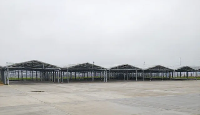 健康教育：如何选型健康咨询服务